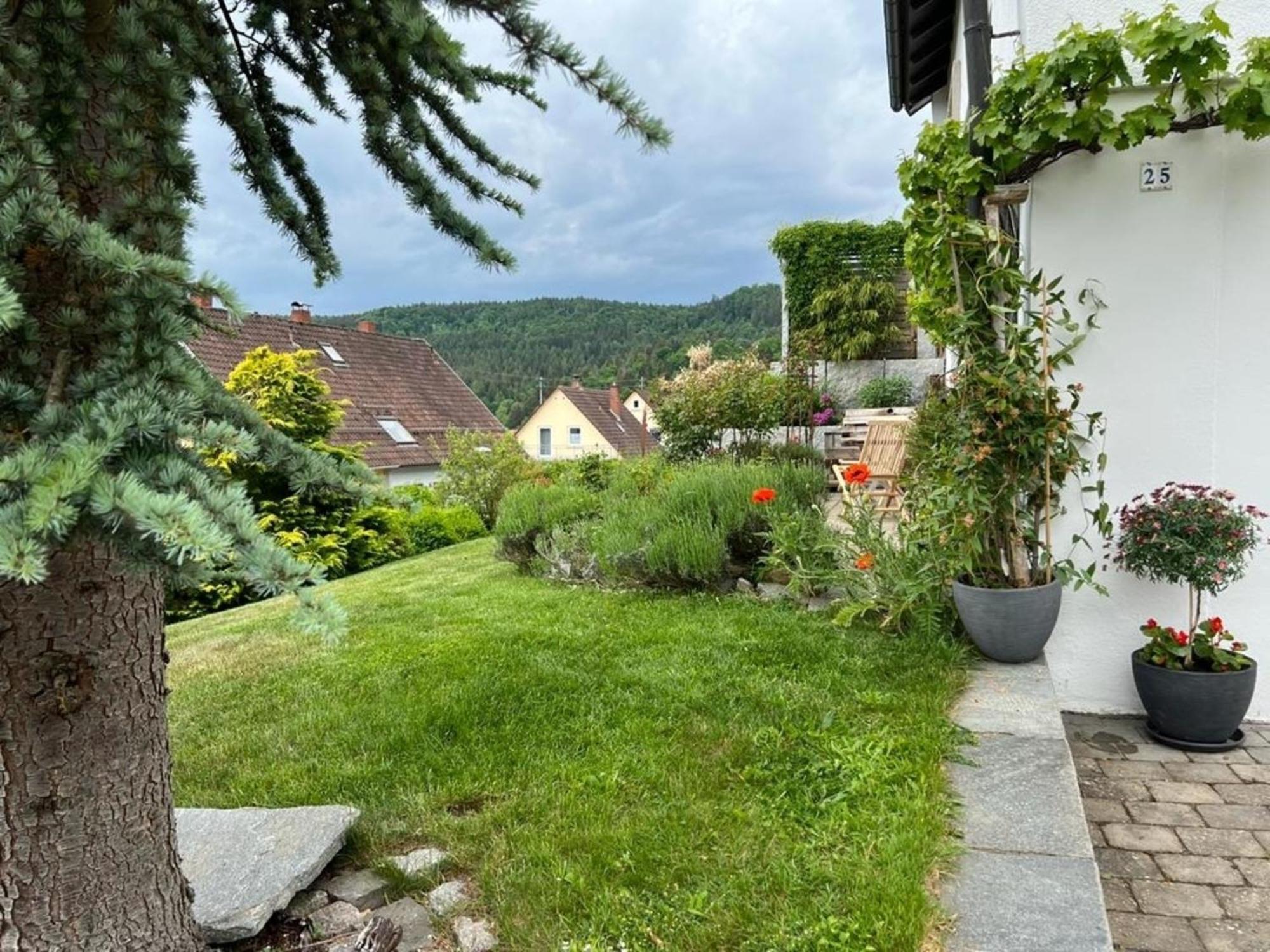 Ferienwohnung Jardin De Lavande Fridingen an der Donau Eksteriør billede