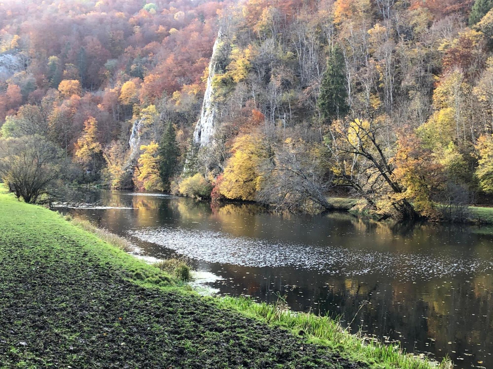Ferienwohnung Jardin De Lavande Fridingen an der Donau Eksteriør billede