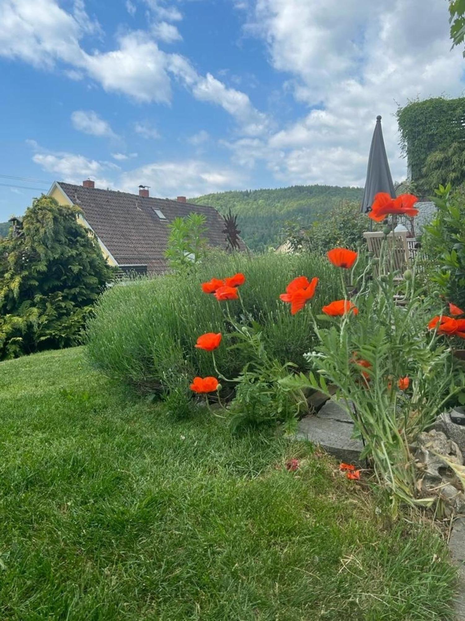 Ferienwohnung Jardin De Lavande Fridingen an der Donau Eksteriør billede