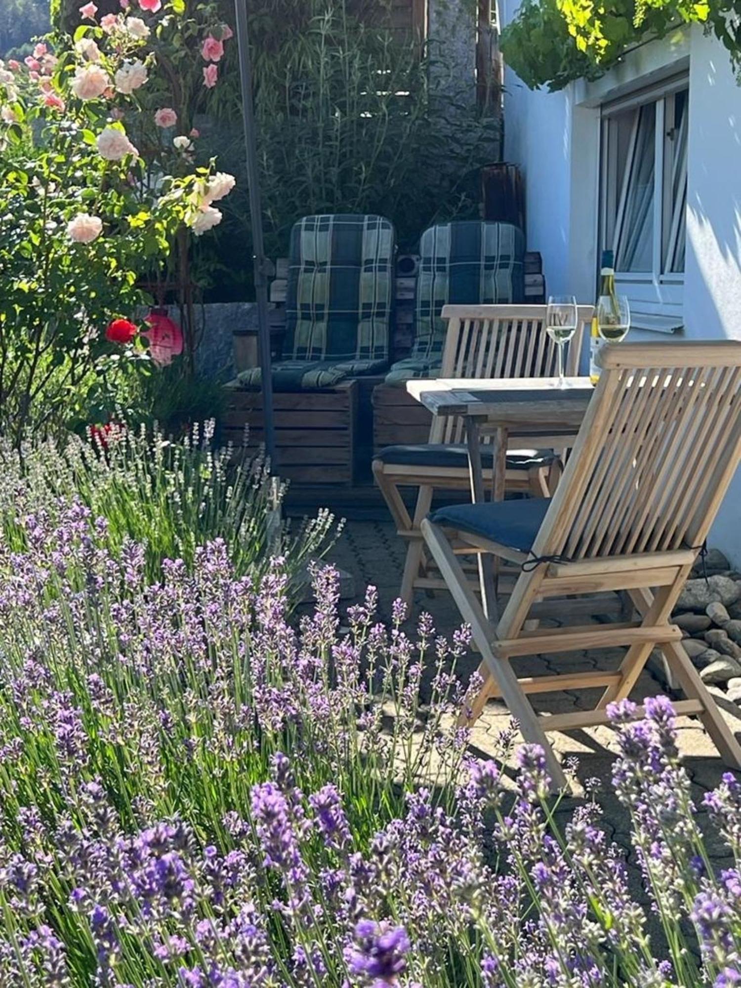 Ferienwohnung Jardin De Lavande Fridingen an der Donau Eksteriør billede